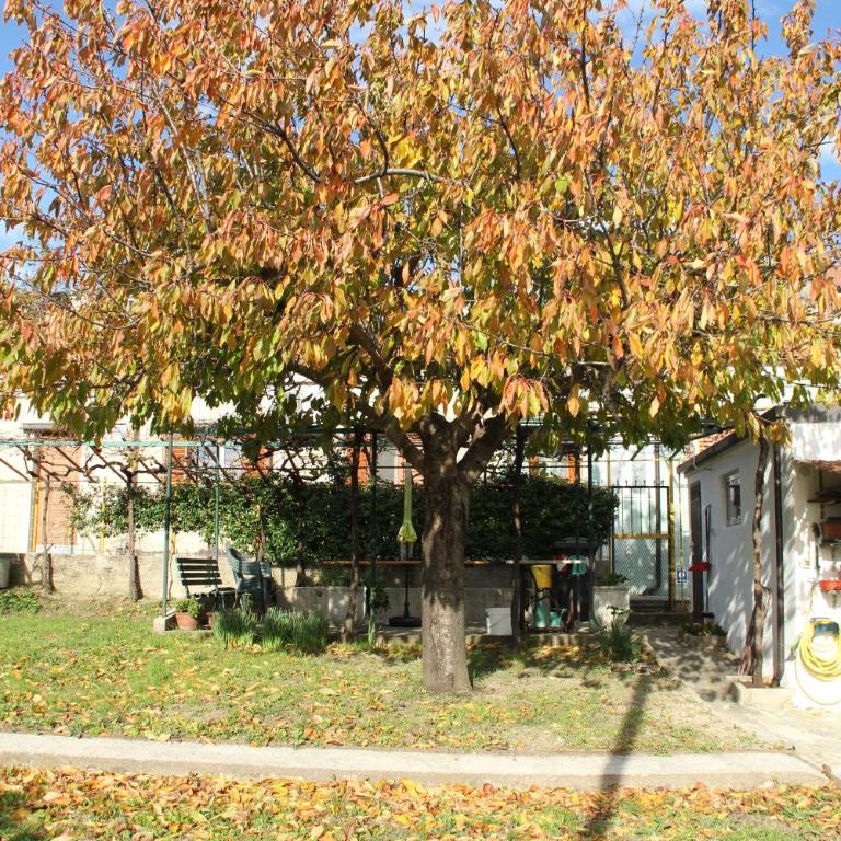 Il Gelsomino - Casa Vacanze - 31