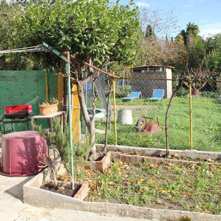 Il Gelsomino - Casa Vacanze - 34