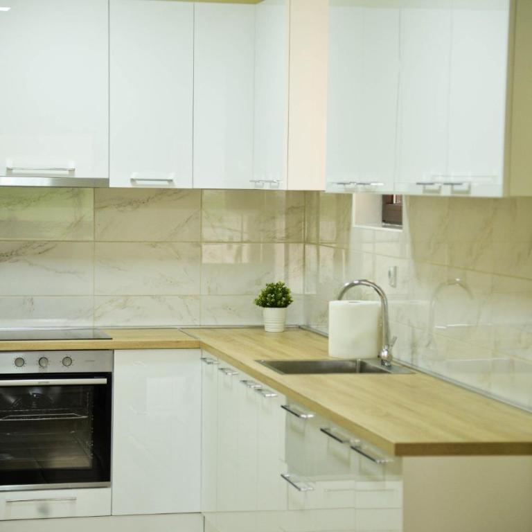 Ilic House - Apartman sa Saunom - 4