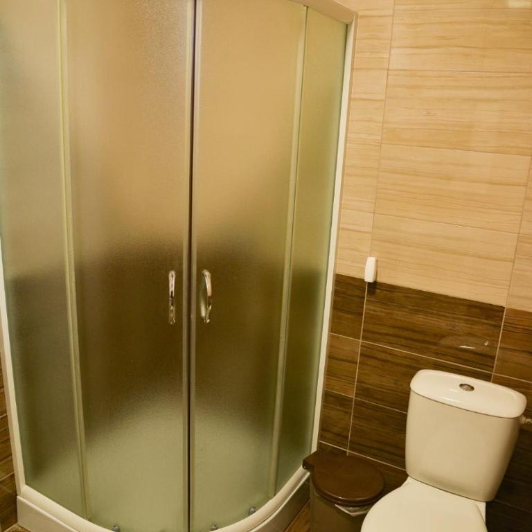 Ilic House - Apartman sa Saunom - 9