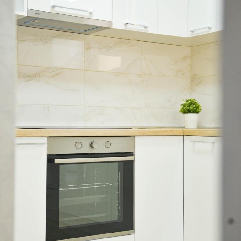 Ilic House - Apartman sa Saunom - 13