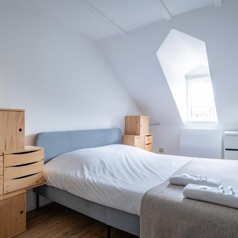 Le Schoepflin - Coeur de Strasbourg - Vue toits - Appartamento con 2 Camere da Letto - 3
