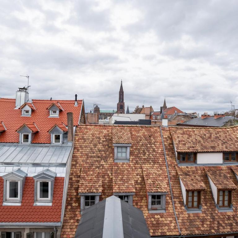 Le Schoepflin - Coeur de Strasbourg - Vue toits - Appartamento con 2 Camere da Letto - 21