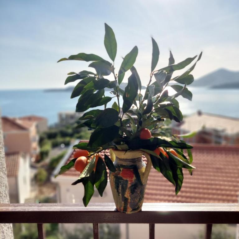 Apartmani Dalex - Studio Apartman - 6