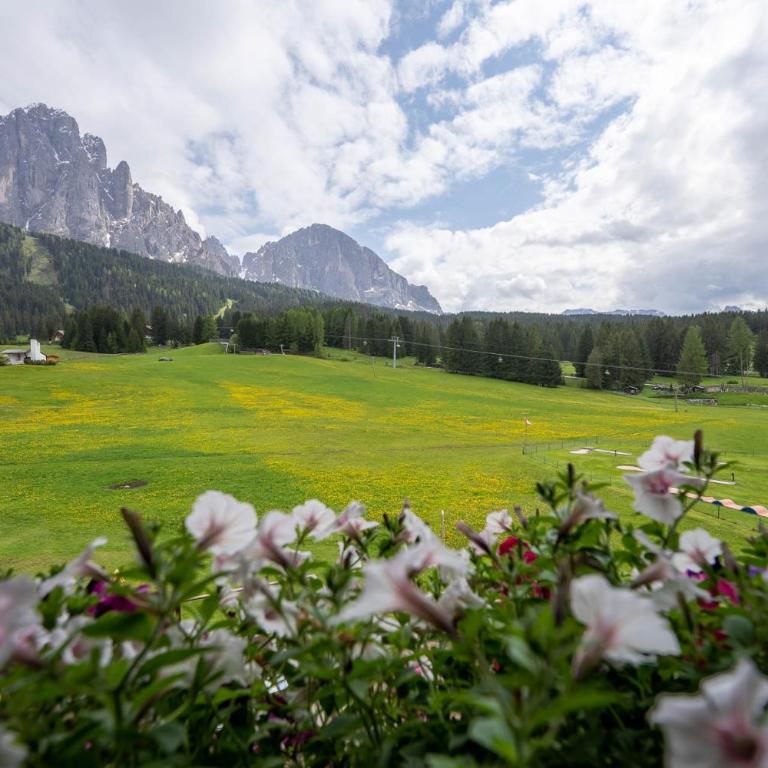 Monte Pana Dolomites Hotel - Camera Matrimoniale Superior - 9