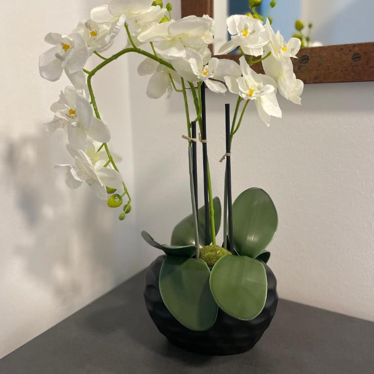 Sorinas Home - Comfortable Apartment near Graz Top 6 - Apartment mit 2 Schlafzimmern - 12