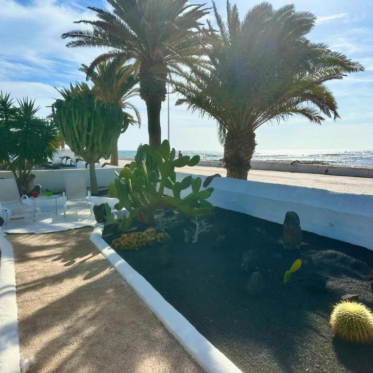 Luxury Villa Sea Front -La Orilla - Three-Bedroom Villa - 26