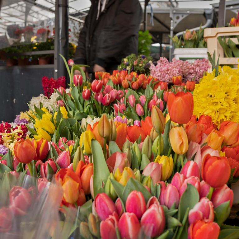 "Smile" Studio Apartment in Belgrade Downtown - Studio sa Balkonom - 19