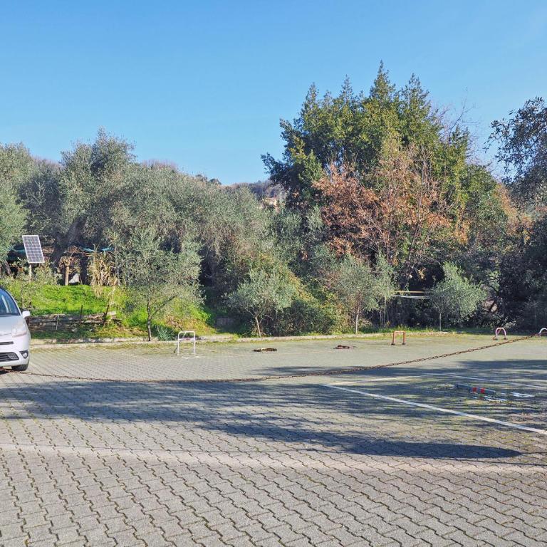 La Conchiglia - 011016-LT-1025 - Monolocale - 20