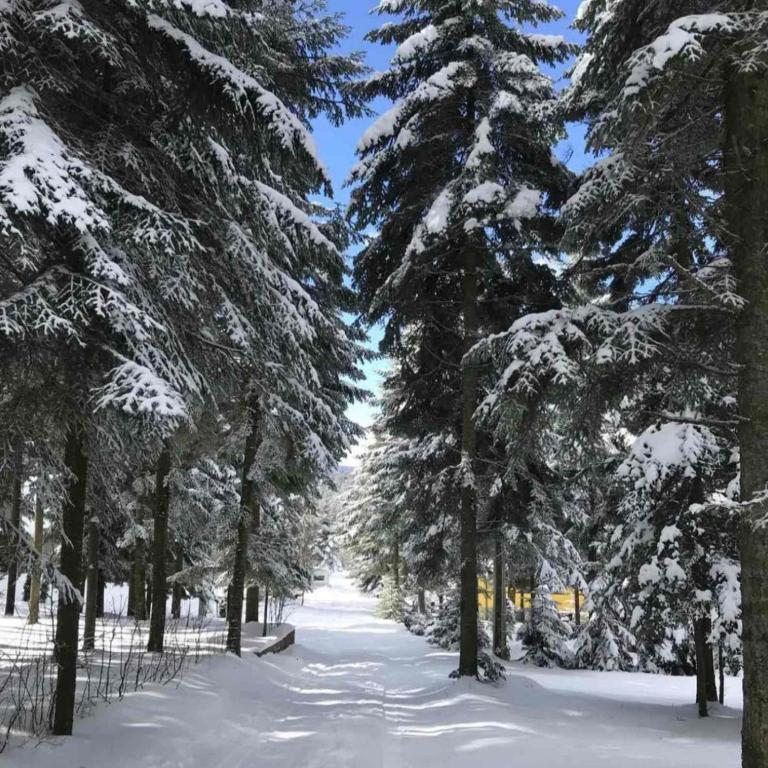 Povratak prirodi - Kuća sa 2 Spavaće Sobe - 21