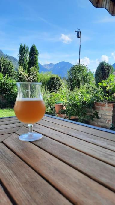Ferienhaus-Ferienwohnung Weitblick mit Garten und malerischem Bergpanorama - Apartment mit 3 Schlafzimmern - 18