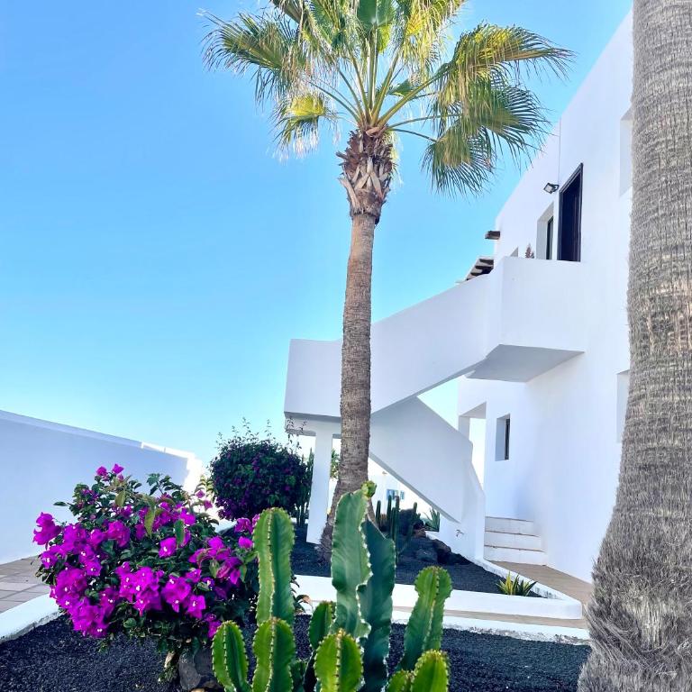 Casa de Los Soles - Two-Bedroom Apartment - 11