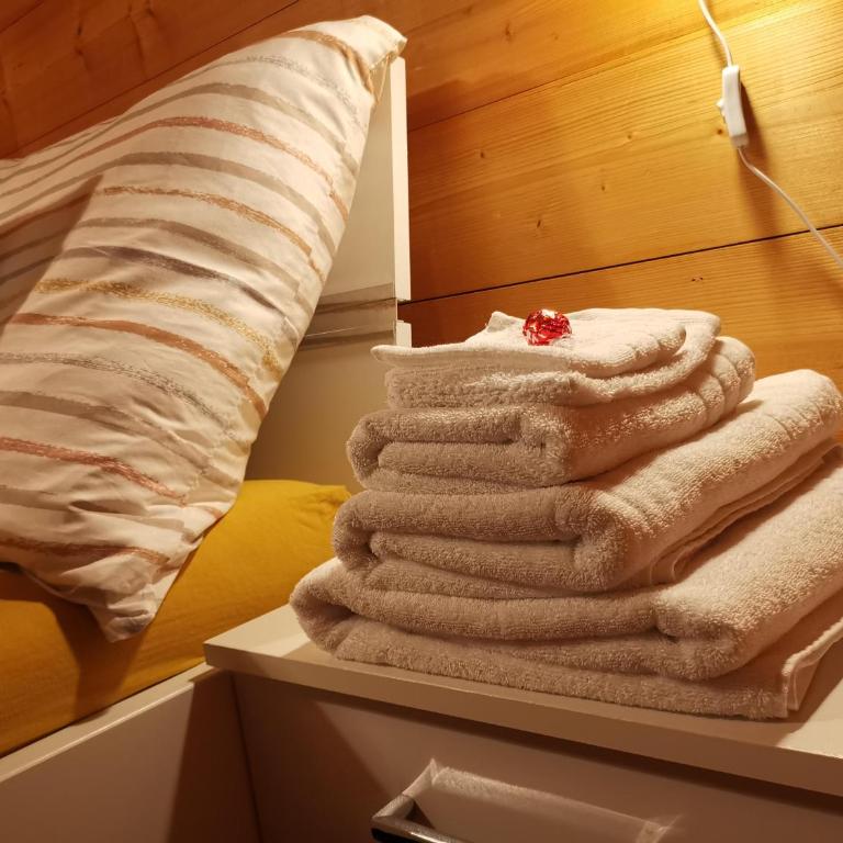 Im Mättelti - Holiday Home with bathroom - 1