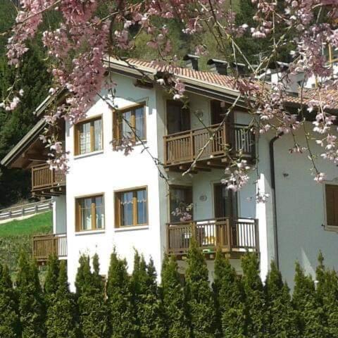 Appartamento la Regina del Lago - Apartamento de 2 dormitorios - 33