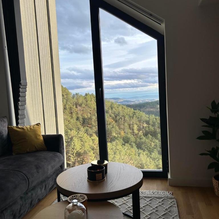 Divcibare Vrh 26 - Apartman sa 1 Spavaćom Sobom - 37
