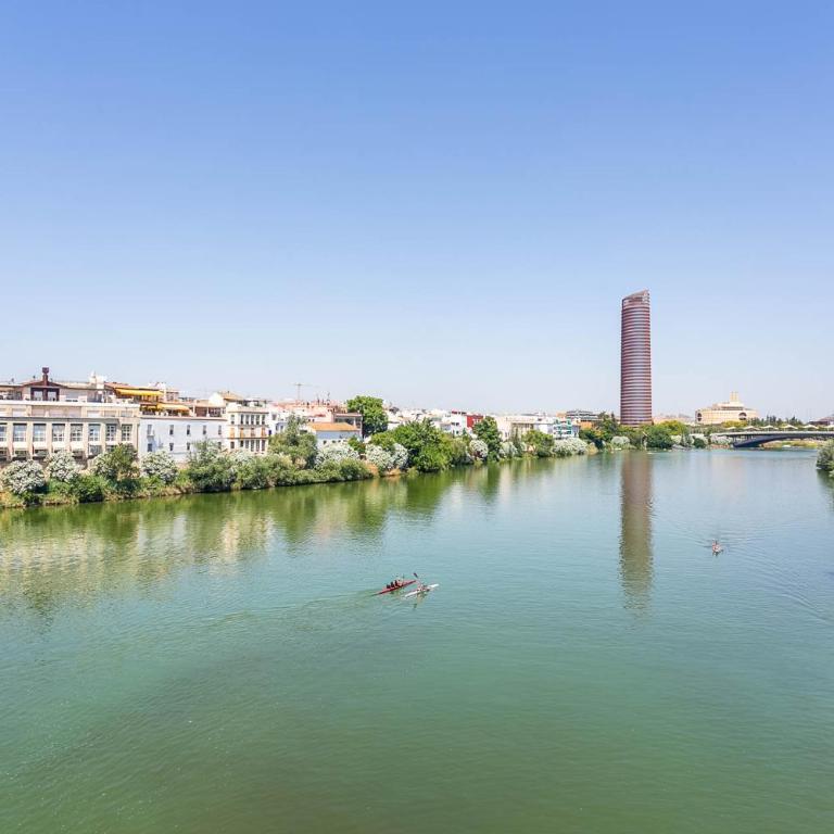 Sunterrace Loft-Triana's Star, 10' from city center! - Loft - 26