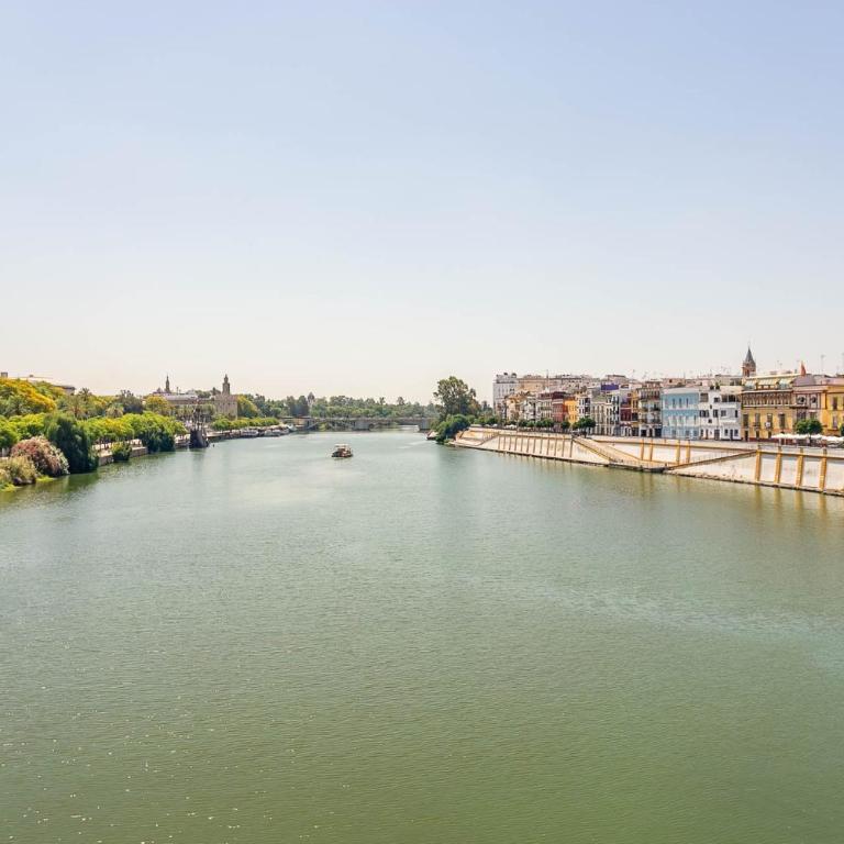 Sunterrace Loft-Triana's Star, 10' from city center! - Loft - 25