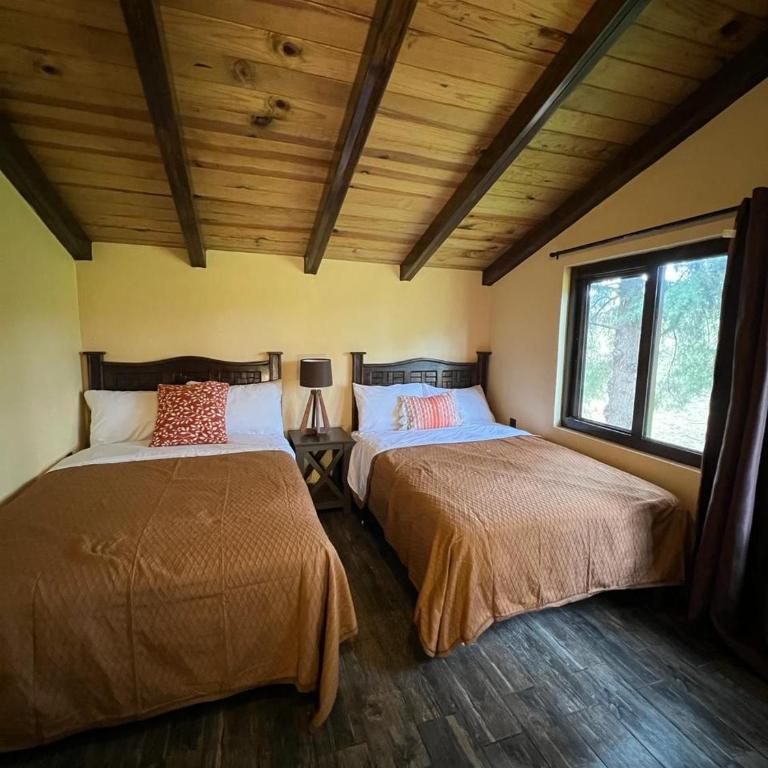 Cabaña No.7 Puerta del Bosque Mazamitla. - Chalet de 3 dormitorios - 22