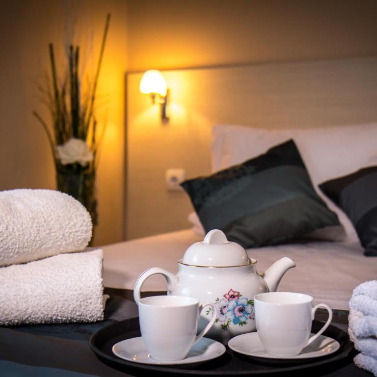 Hotel Danica - Superior Dvokrevetna Soba sa Bračnim Krevetom/Zasebnim Krevetima - 5