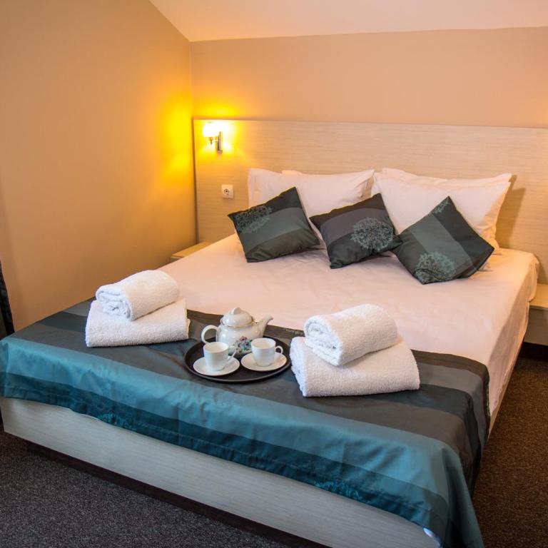 Hotel Danica - Superior Dvokrevetna Soba sa Bračnim Krevetom/Zasebnim Krevetima - 1
