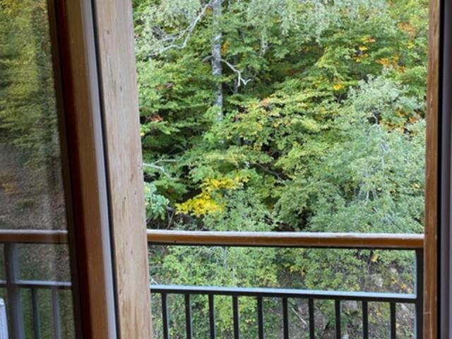 Studio aux pieds des pistes, des chemins de Rando - Apartment mit 1 Schlafzimmer - 21