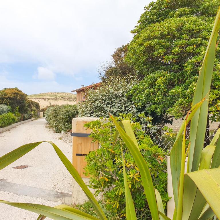 DUNES - Villa Patio Avec Jardin - proche Plage de la Gravière - Maison 3 Chambres - 12