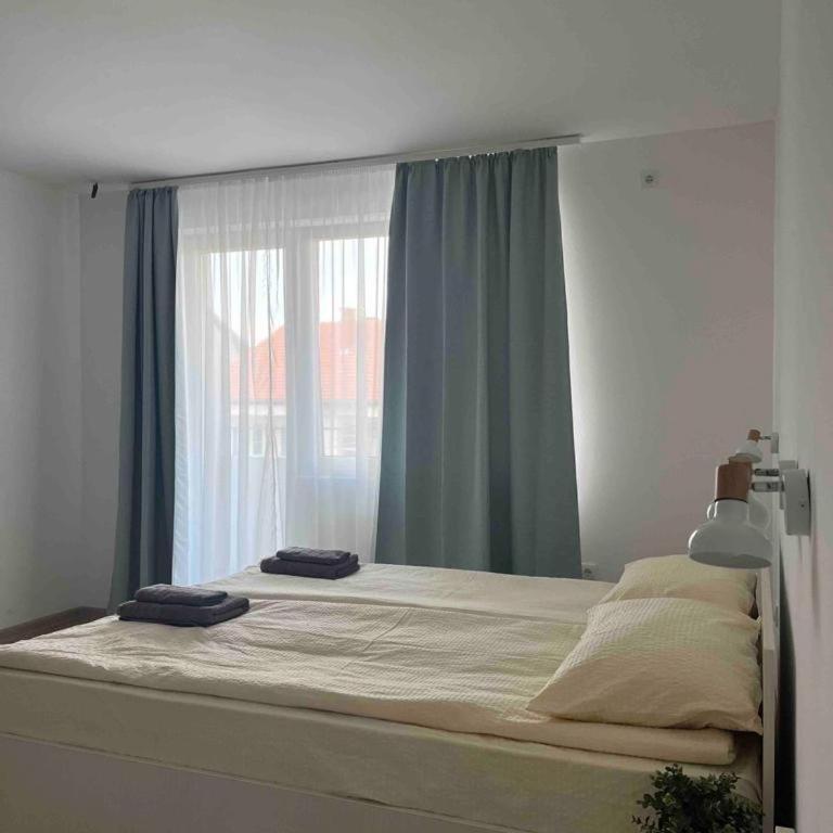 Milutinn-Visterija - Apartman sa 1 Spavaćom Sobom - 49