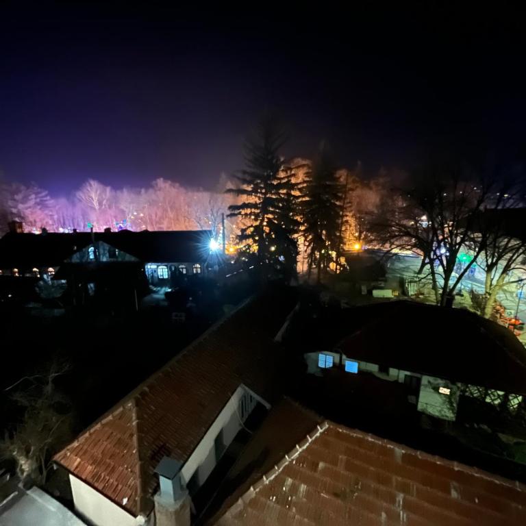 Milutinn-Visterija - Apartman sa 1 Spavaćom Sobom - 43