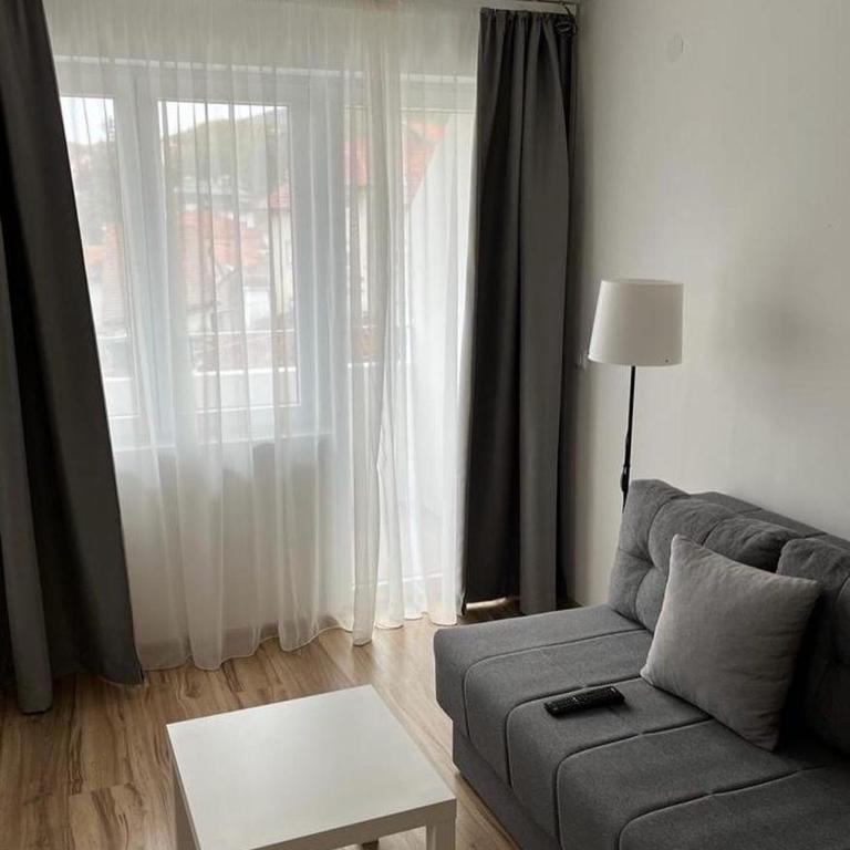 Milutinn-Lipa - Apartman sa 1 Spavaćom Sobom - 38