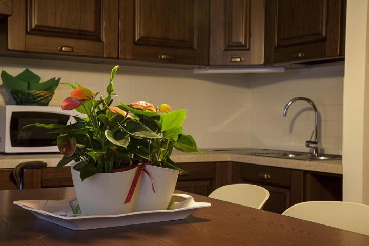 Baite Rosa - Appartamento Monolocale - 5
