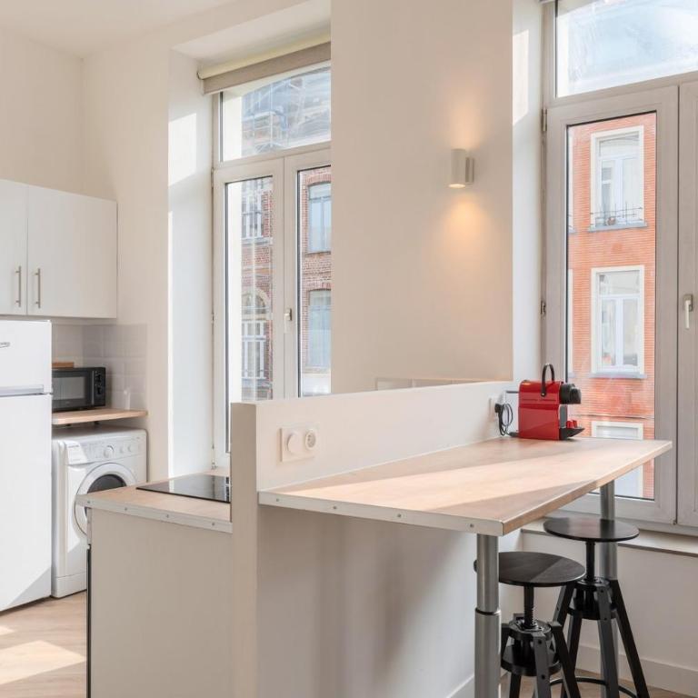 Spacious and bright studio in the center. - Appartement 1 Chambre - 7