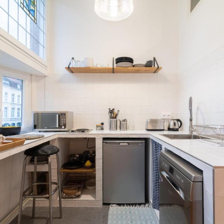 Lille Centre - Nice cozy and functional ap - Appartement 1 Chambre - 5