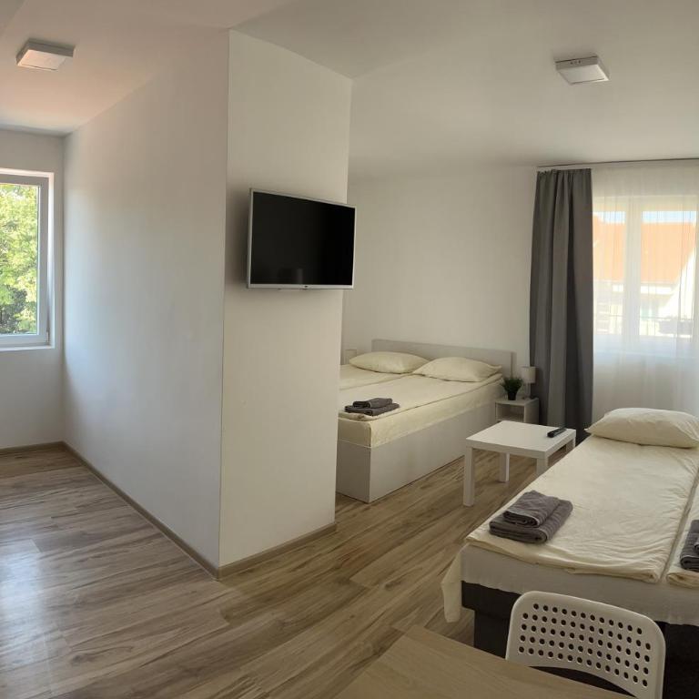 Smeštaj Milutinn - Porodični Studio - 5