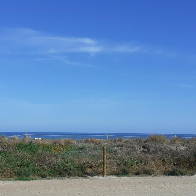 Oasis Apartments playa albaranas - Apartamento con vistas al mar - 52