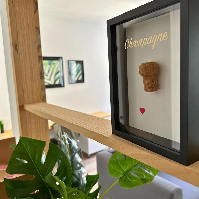 Le Forum - Appartement rare - Parking privé - Centre - Reims - Appartement 1 Chambre - 16