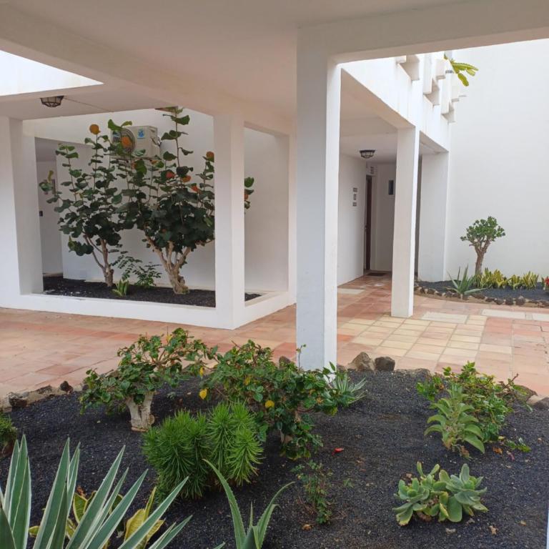 Happy Heart Los Molinos - 2 bedroom 2 bathroom - Apartamento de 2 dormitorios - 16
