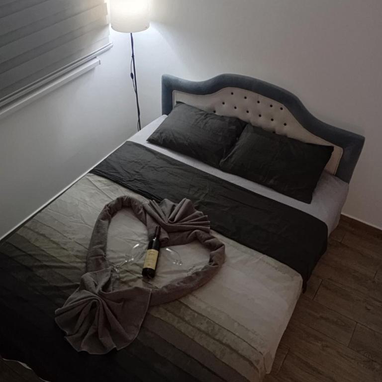 Divčibarski Vidik - Apartman sa 1 Spavaćom Sobom - 21