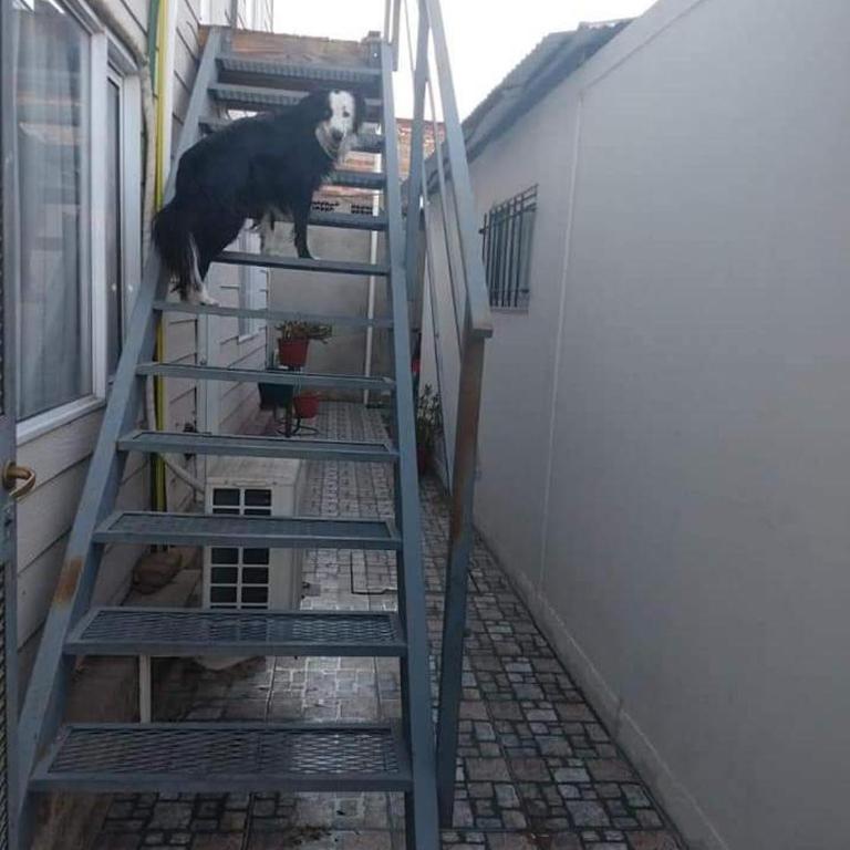 Domuyo 3 - Apartamento de 1 dormitorio - 7