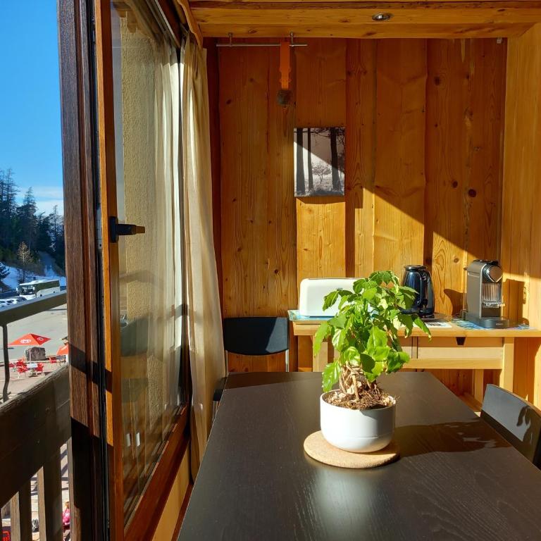 Très agréable 2 pièces au pied des pistes - Apartment mit 1 Schlafzimmer - 4