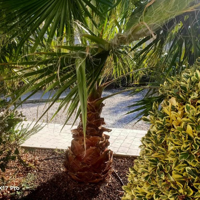 Lavocette maison appartement - Appartamento - Piano Terra - 28