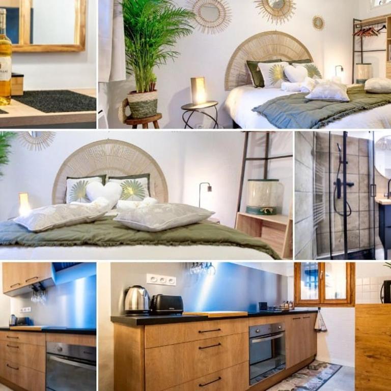 Un Coin de Paradis à Bergerac - Appartement 1 Chambre - 2