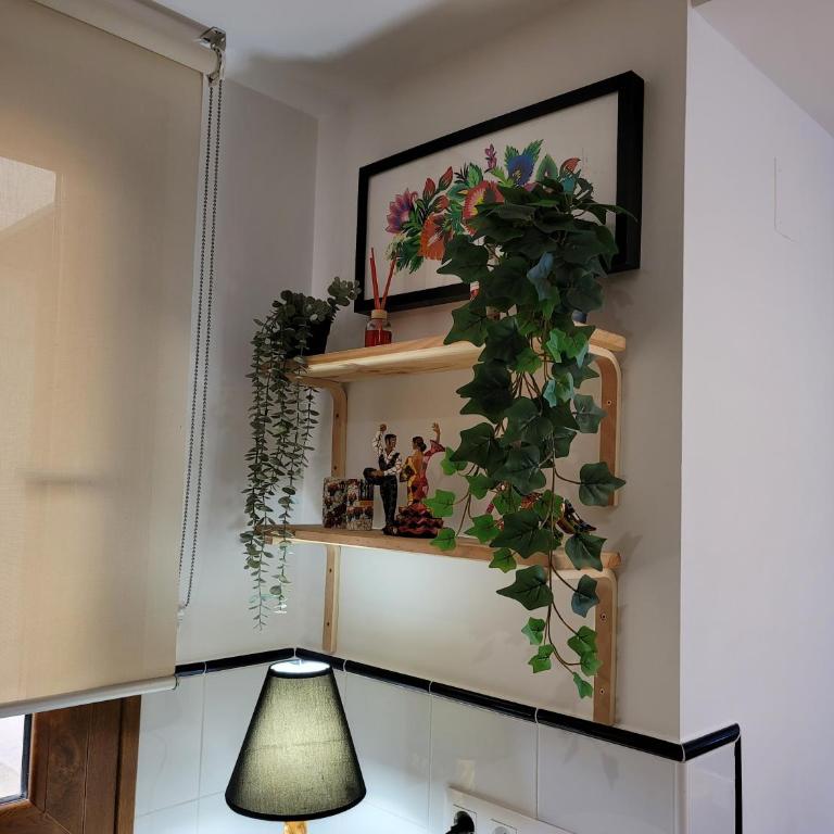103 Apartamento La Recoleta - Apartamento con vistas al jardín - 17