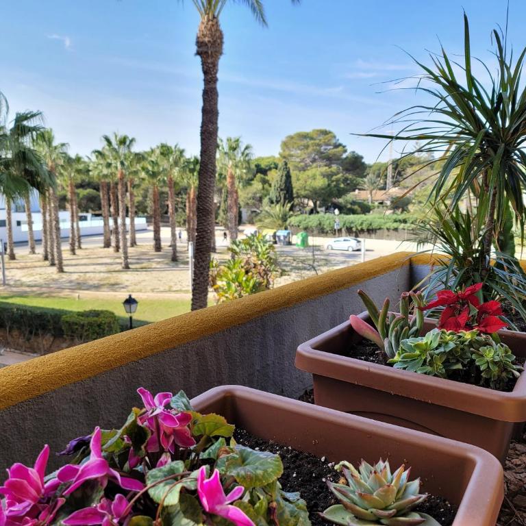 103 Apartamento La Recoleta - Apartamento con vistas al jardín - 22