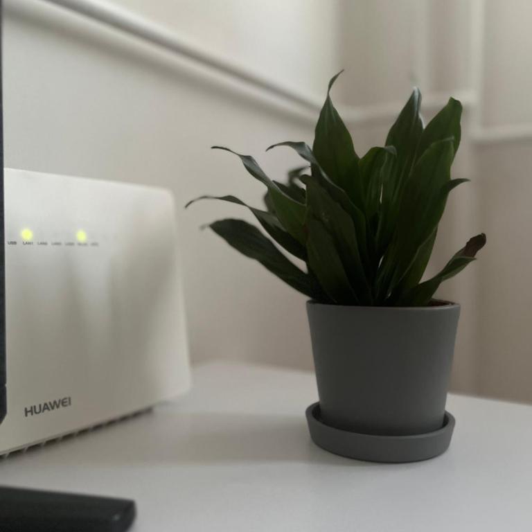 Leny apartman - Apartman sa 1 Spavaćom Sobom - 24