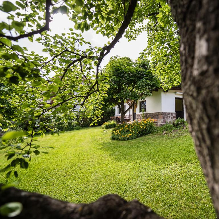 AppartChalet LA RONDULA - 100m from Seceda - Villa con 2 Camere da Letto e con Giardino - 5