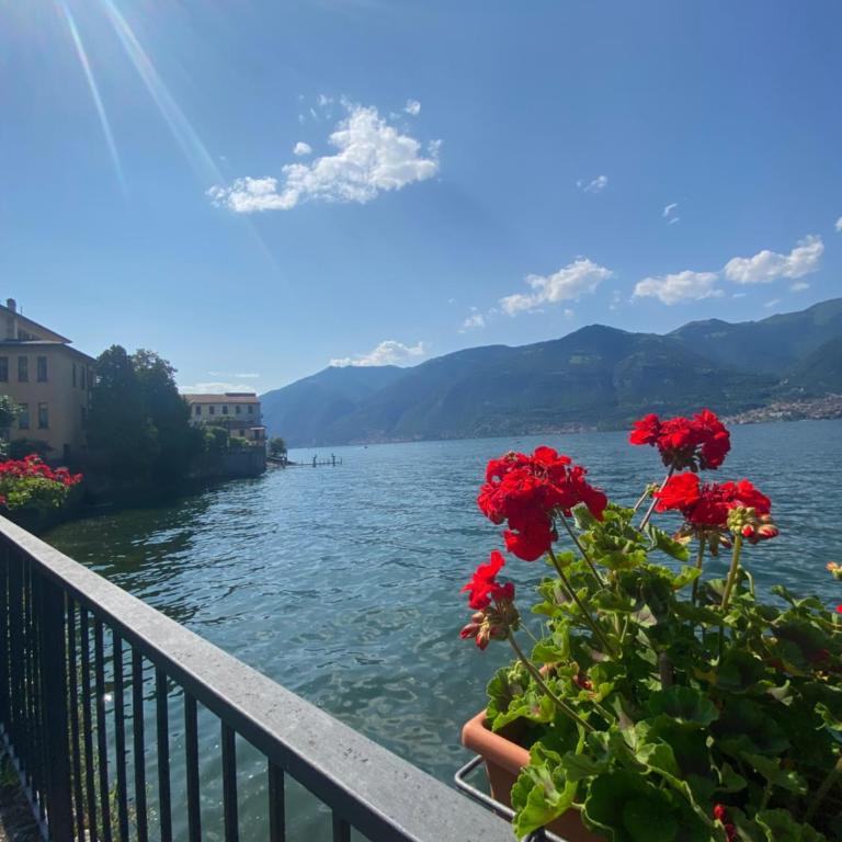 Peonia Apartment - appartamento vista lago - One-Bedroom Apartment - 26