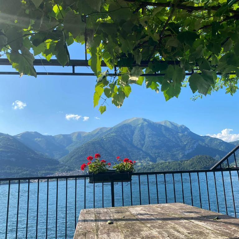 Peonia Apartment - appartamento vista lago - One-Bedroom Apartment - 37