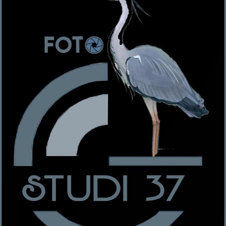 Casa FotoStudi37 - Vacation Home - 29