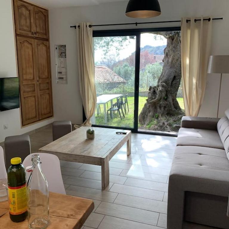 L'alivu di porto vecchio - Piscine - Casa de 2 dormitorios - 14