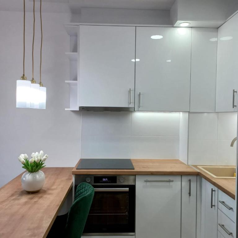 Todorovic Apartments Panorama - One-Bedroom Apartment - 25